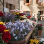découvrez à aurillac comment les fleurs expriment les émotions et apprenez le langage des sentiments à travers une expérience florale unique.