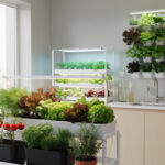 découvrez comment créer un potager d'intérieur pour cultiver vos légumes toute l'année et profiter de produits frais chez vous, quelles que soient les saisons.